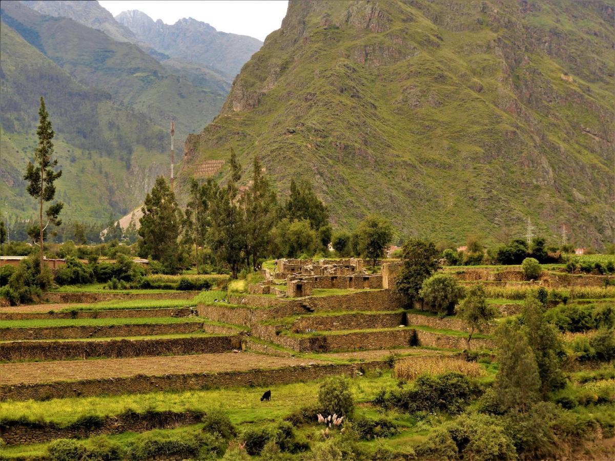 Ayllu B&B Ollantaytambo Kültér fotó